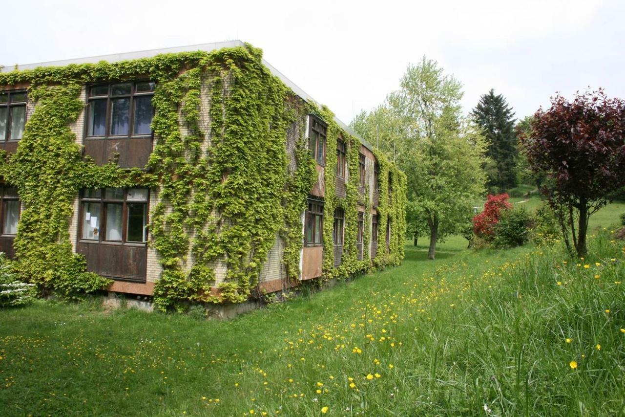 Wildbach Appartement Ober-Hambach Экстерьер фото
